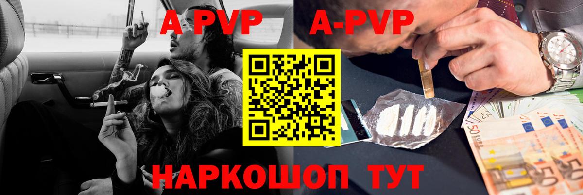A PVP СК Зерноград