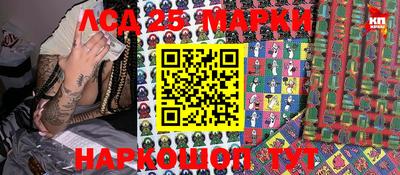 гидропоника Бийск
