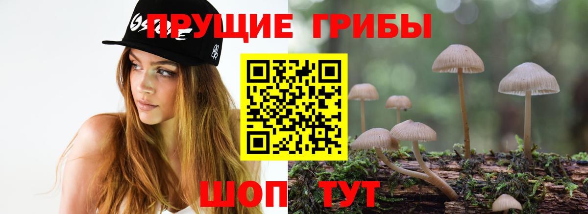 Галлюциногенные грибы мухоморы  Псилоцибиновые грибы Psilocybe  Зерноград  Вход с VPN 